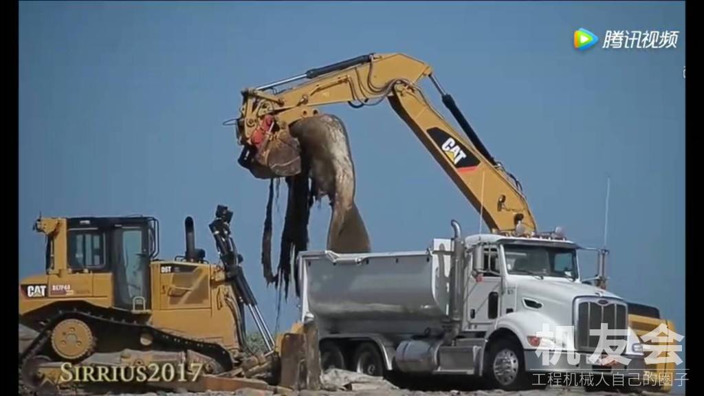 【休闲一刻】哇哇！什么鱼这么大，惊动挖掘机怪手和大卡车