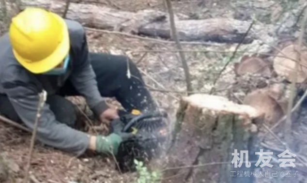 男子驾驶挖掘机推树 无意砸死老板获刑8个月！
