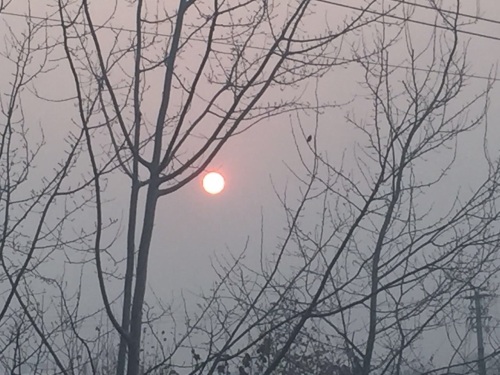 今天的太阳，在层层雾霾后面好郁闷！