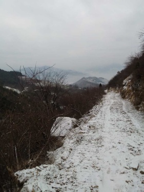 下雪上工地！好多野鸡[挖鼻][挖鼻]