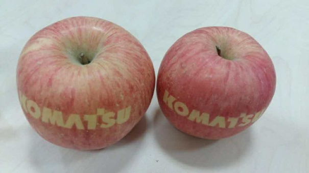 有谁见过这样的苹果