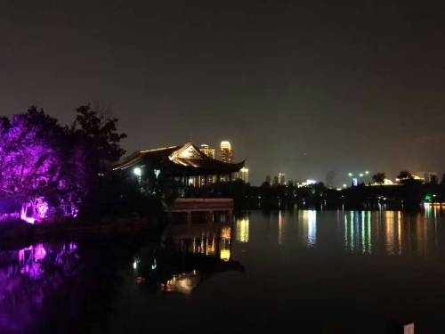 湖的夜景