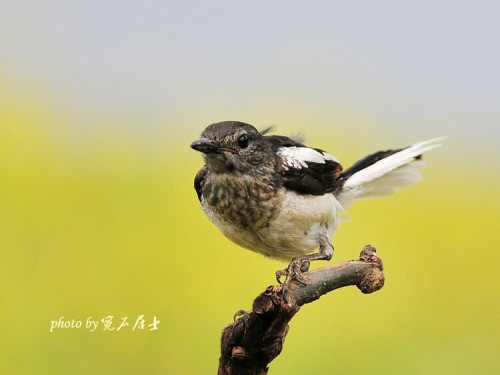 又是一天的开始！……