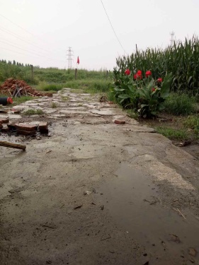 这雨下的……