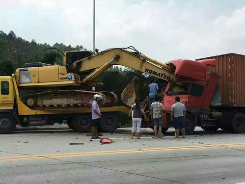 看看这样运输的危害性，一条鲜活的生命就这样没了！