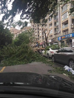 台风过境，穿行在都市森林中...