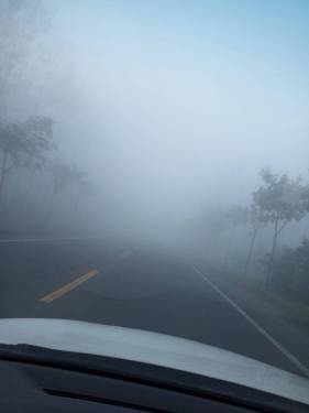 今天雾太大青岛的机友们上班路上要小心啊