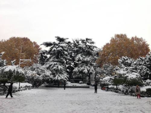 郑州雪景