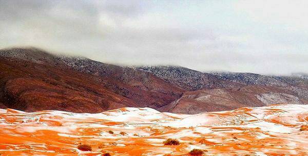 撒哈拉沙漠下雪了