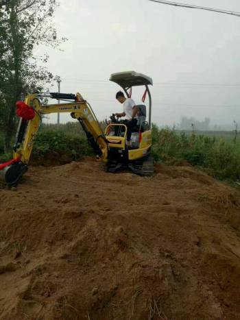 辽宁葫芦岛市出租洋马迷你挖17挖掘机