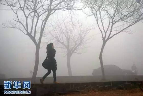 山东省气象台8日6时发布大雾橙色预警、海上大雾黄色预警信号。