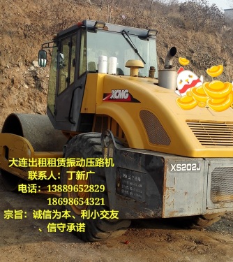 辽宁大连市出租徐工机械式22吨XSM220单钢轮压路机
