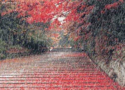 下雨了……