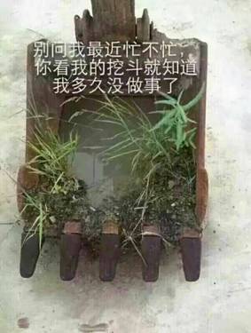 济宁地区出租微型挖机，破碎锤