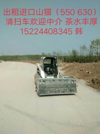 山东潍坊市出租山猫轮胎式1吨以上山猫S550滑移装载机