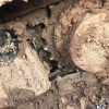 湖北鄂州市19万元出售神钢小挖SK75挖掘机