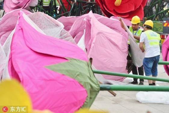 天安门广场国庆花坛紧张搭建 工人“花丛”中穿梭
 
2018