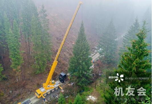 德工人为国会大厦准备圣诞树 动用起重机运输20多米高针叶树