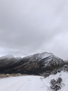 昌都地区有找装载机司机的联系