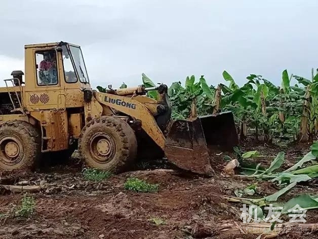 缅北550英亩香蕉园首次被政府用铲车销毁，民众大喊“铲得好”