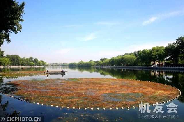北京什刹海集中用挖掘机清理水草
