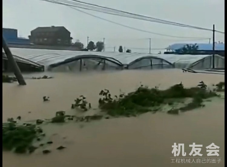 山東昌樂因台風蔬菜大棚受淹 村民坐挖掘機撤離