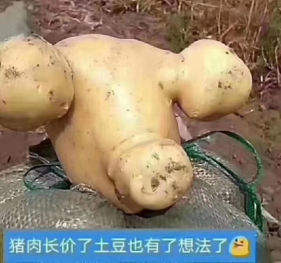 [哈哈][哈哈][哈哈]