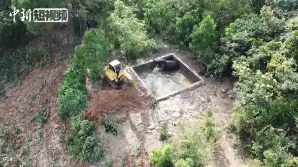 亚洲象不慎落入水池被困 挖掘机出动救援