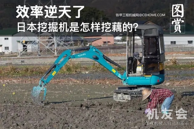 效率逆天了？日本挖掘机竟然用于挖藕，奢侈