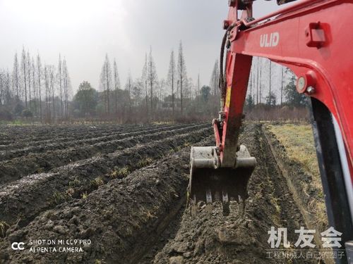 非常时期 我们的挖机跟设备都不能进行工作 但是进行了线上学习