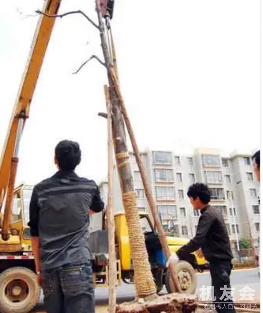 挖掘机在园林种植时发挥的作用